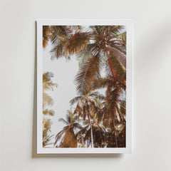 Palm Breeze Skies Poster