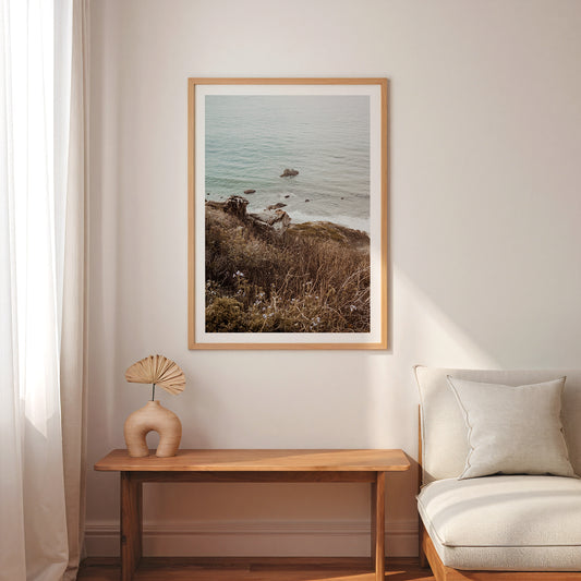 Wild Coastline Vista Poster