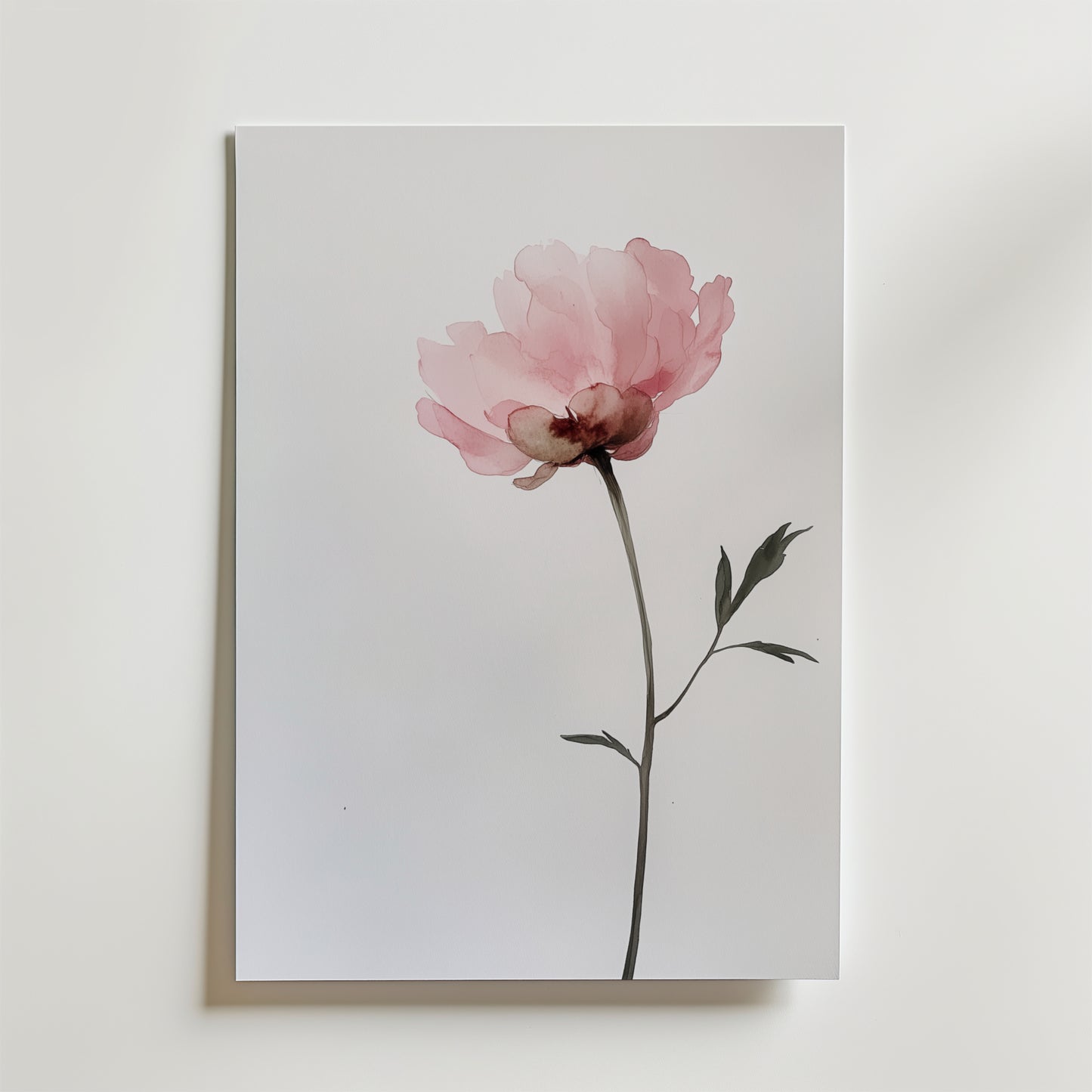 Hvid Rose Elegance Plakat