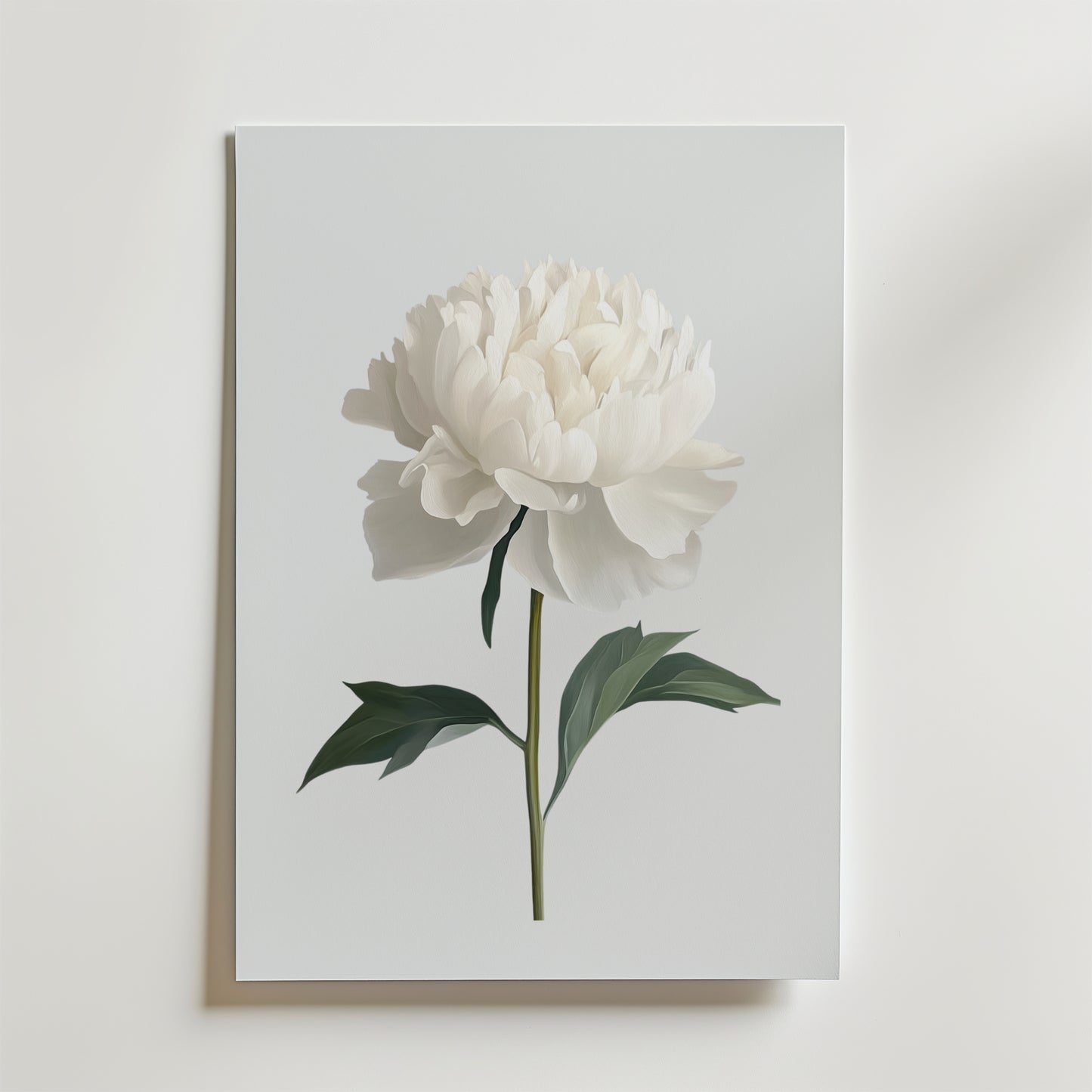 White peony Poster