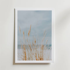 Soft Dune Grass Poster