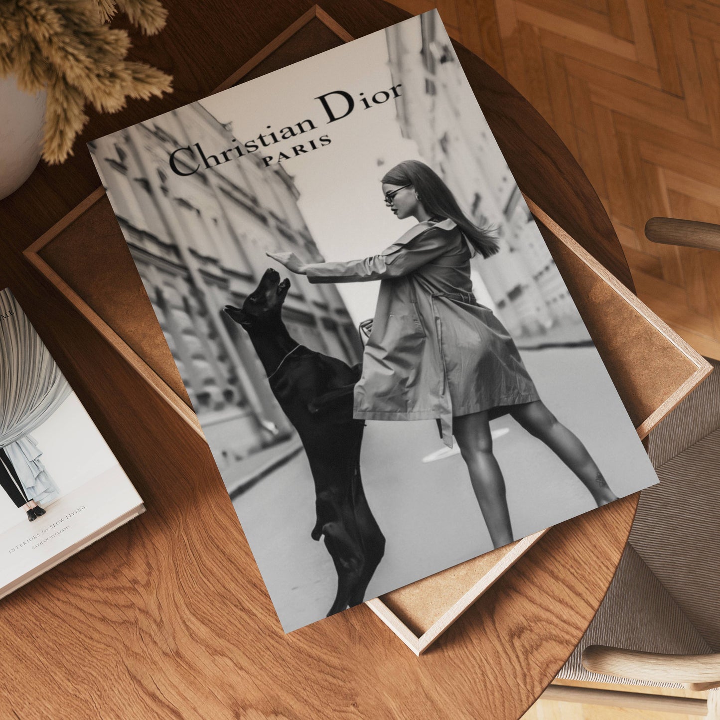 Christian Dior Paris Poster