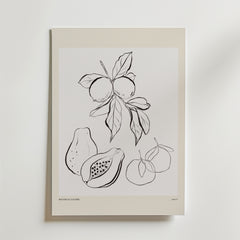 The Shape Of Plenty Poster by Bozetto visar en minimalistisk svartvit botanisk illustration av citrusfrukter och papayor på en vit bakgrund med en ljusbeige kant och erbjuder en modern fruktstil för alla konstnärliga postersamlingar.