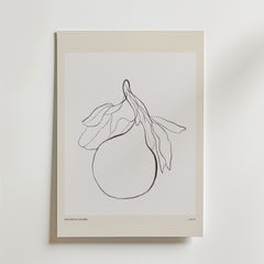 The Softest Yield Poster by Bozetto har en minimalistisk linjeteckning av ett päron med blad, inramad av en beige kant. Tunna svarta linjer beskriver frukten och skapar naturlig konst som är perfekt för alla rum med vita väggar.