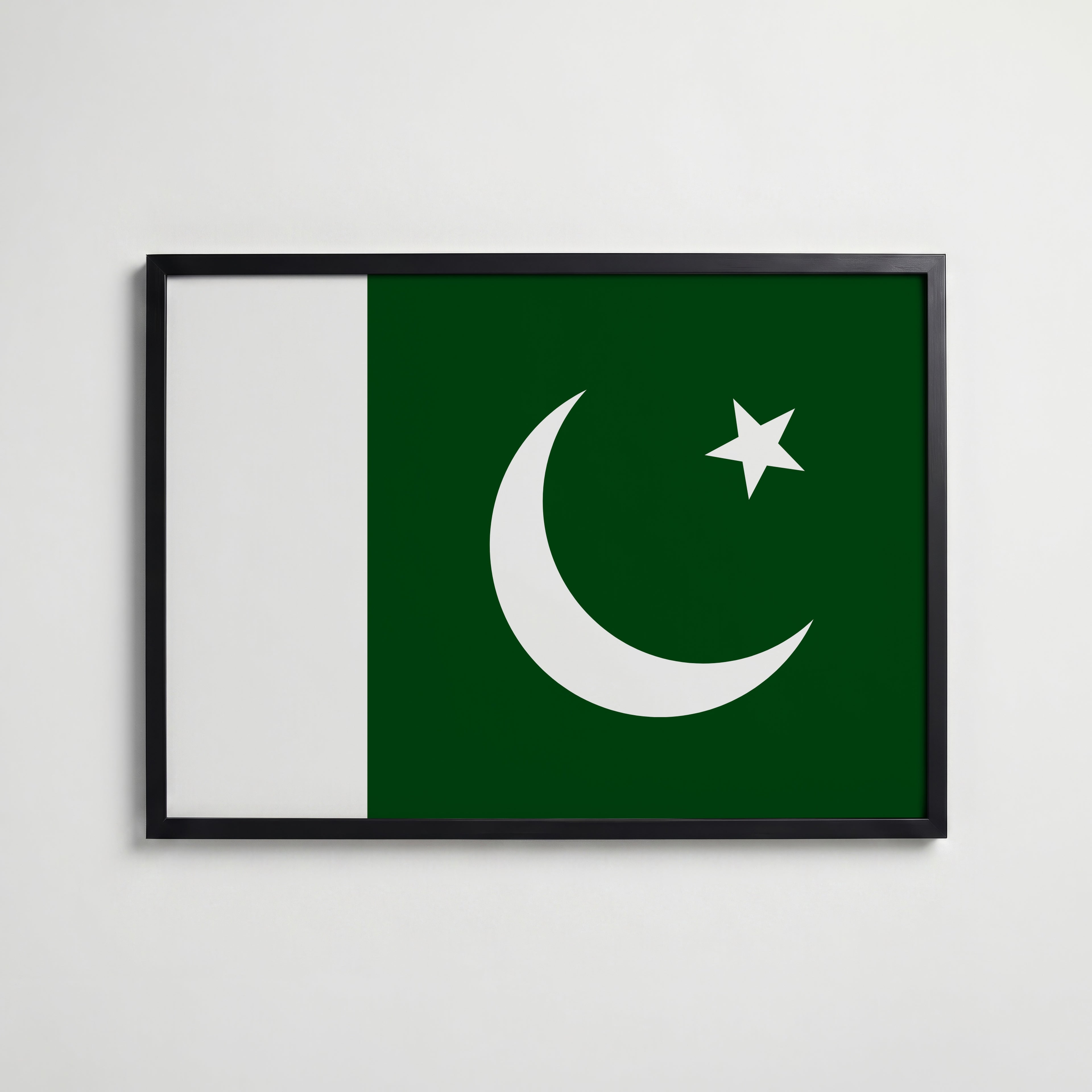 Pakistan National Flag Poster affisch – köp poster online – Bozetto väggdekoration