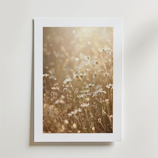 Summer Meadow Poster