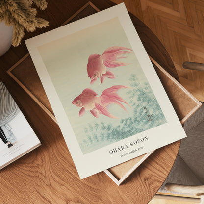 Two Veil Goldfish Ohara Koson Poster