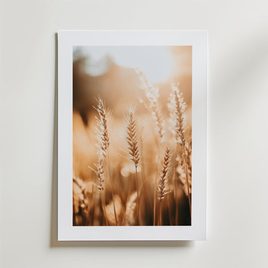 Harvest Light Poster