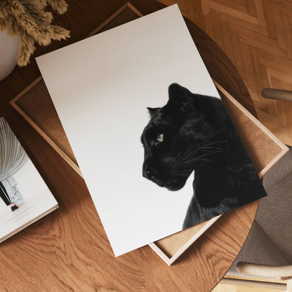 Midnight Panther Poster