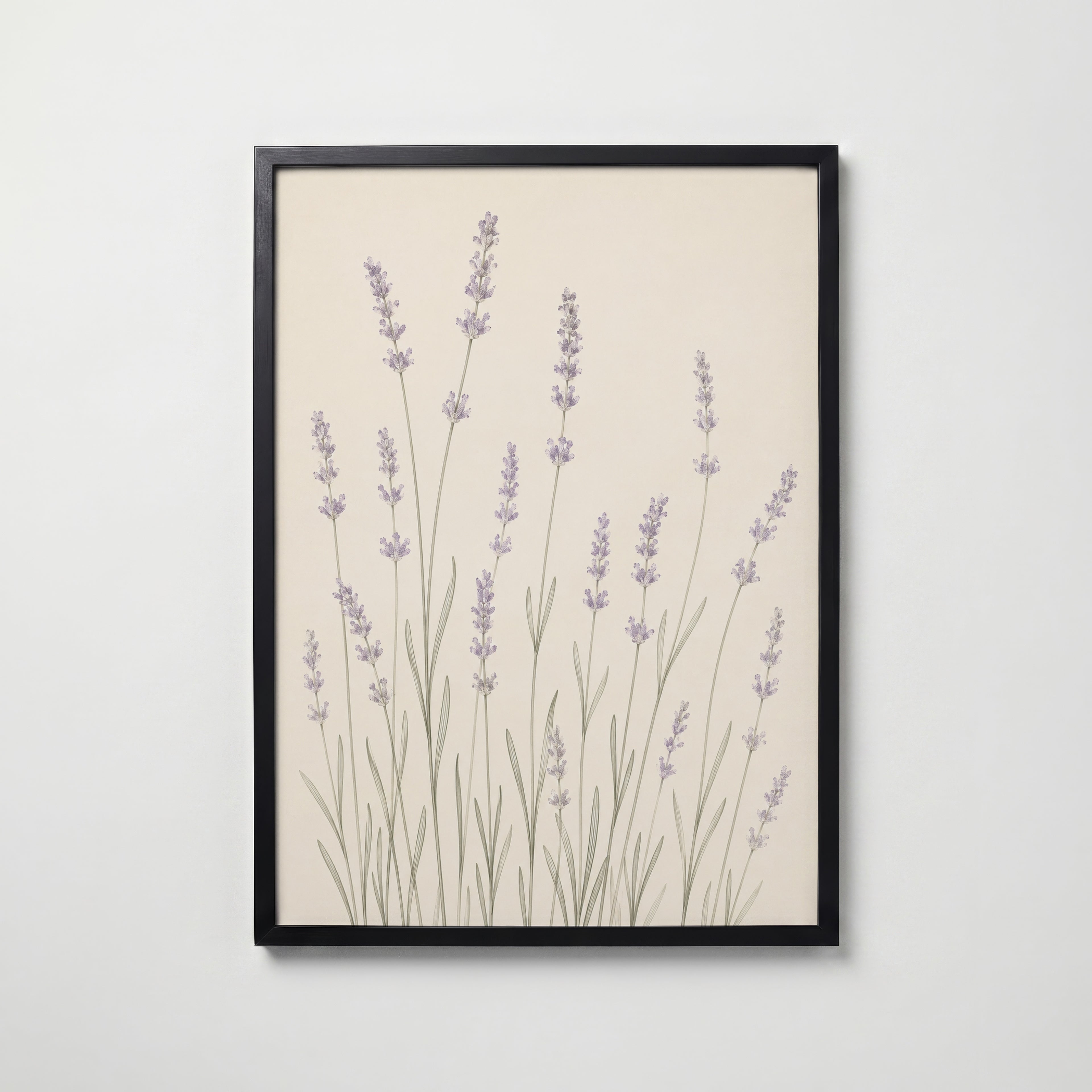 Slender Lavender Field i svart ram på vägg – köp enkelt hos Bozetto affisch i hög kvalitet