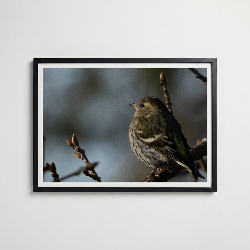 Peaceful Poster