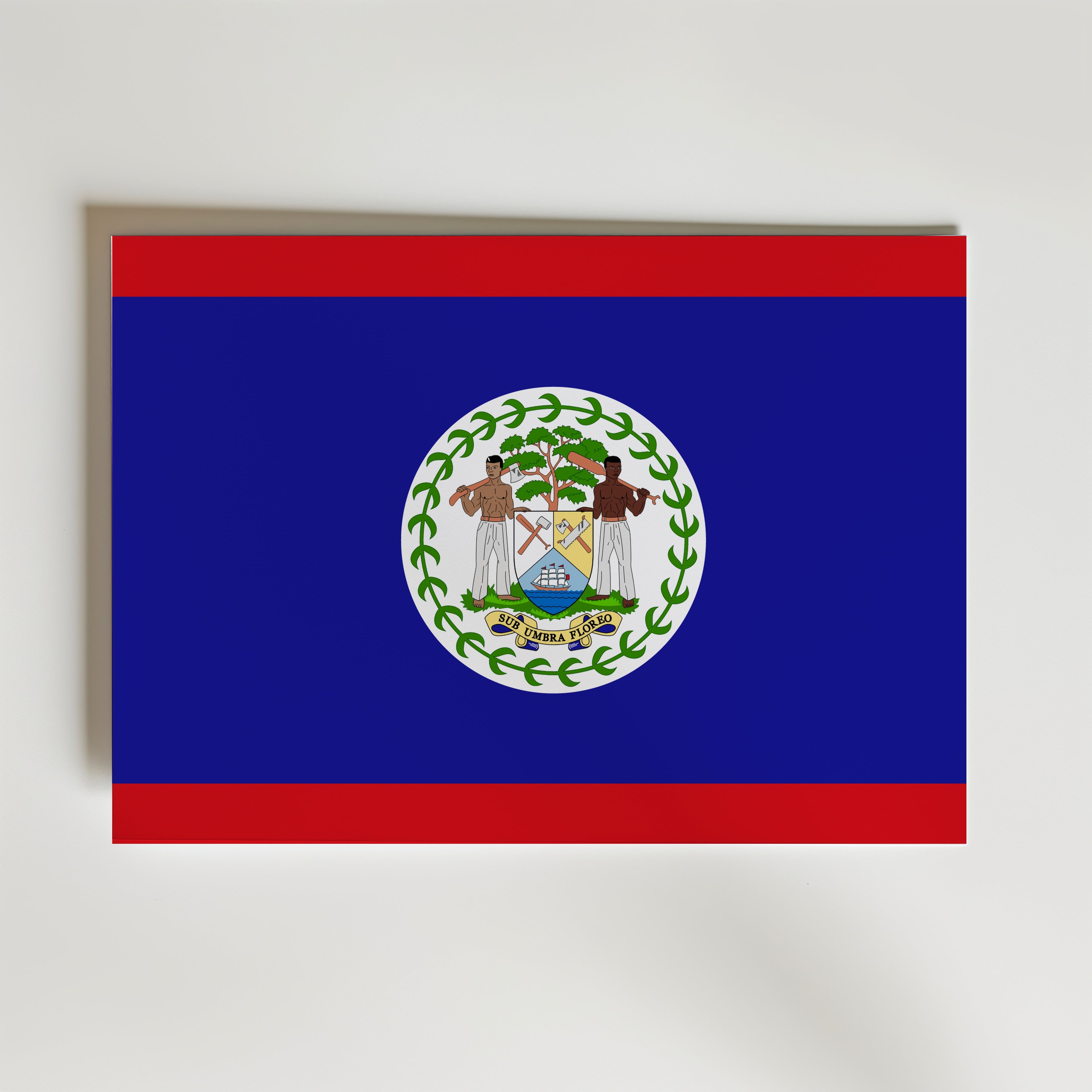 Belize National Flag Poster – modern konst och stilren konsttryck för hemmet hos Bozetto