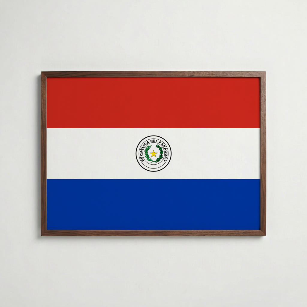 Paraguay National Flag Poster poster – väggdekoration för hemmet – köp hos Bozetto