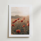 Postern Echoes of Summer Poster by Bozetto föreställer röda vallmor i ett solbelyst fält på FSC-certifierat premiumpapper, centrerad på en vit matta och placerad mot en ljus vägg, vilket framkallar en mjuk, drömsk stämning med mjukt naturligt ljus.