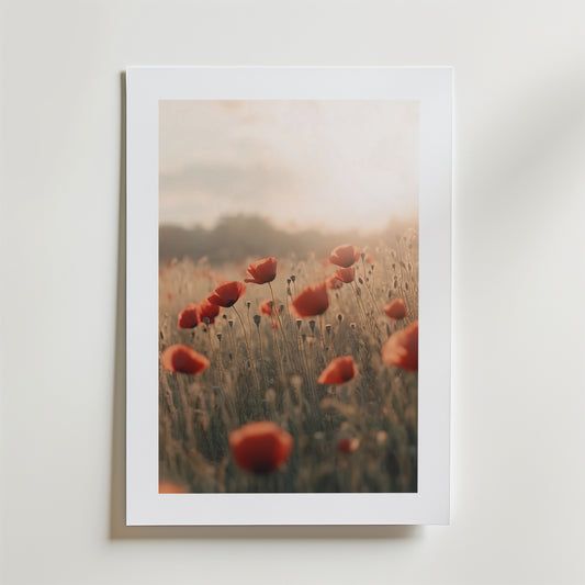 Echoes of Summer Poster