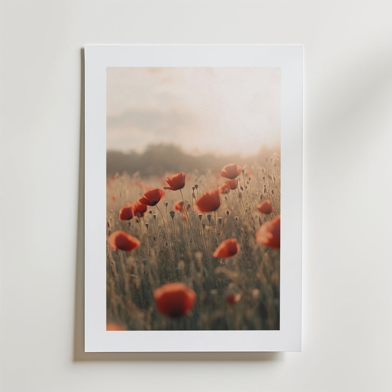 Echoes of Summer Poster