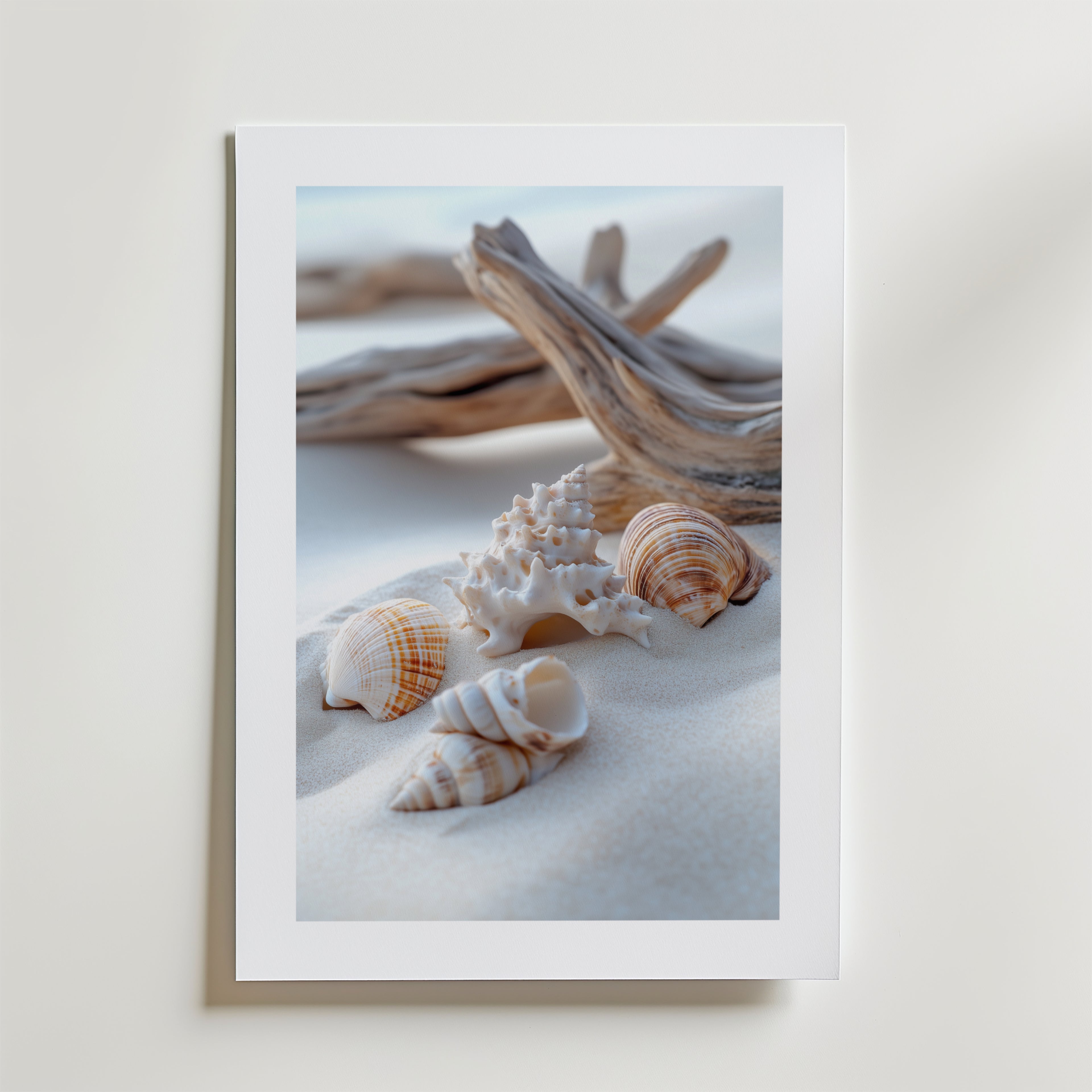 Bozetto Seashells on the Beach Poster föreställer snäckskal och drivved på slät sand, inramad i vitt och tryckt på FSC-certifierat premiumpapper för en högkvalitativ finish.