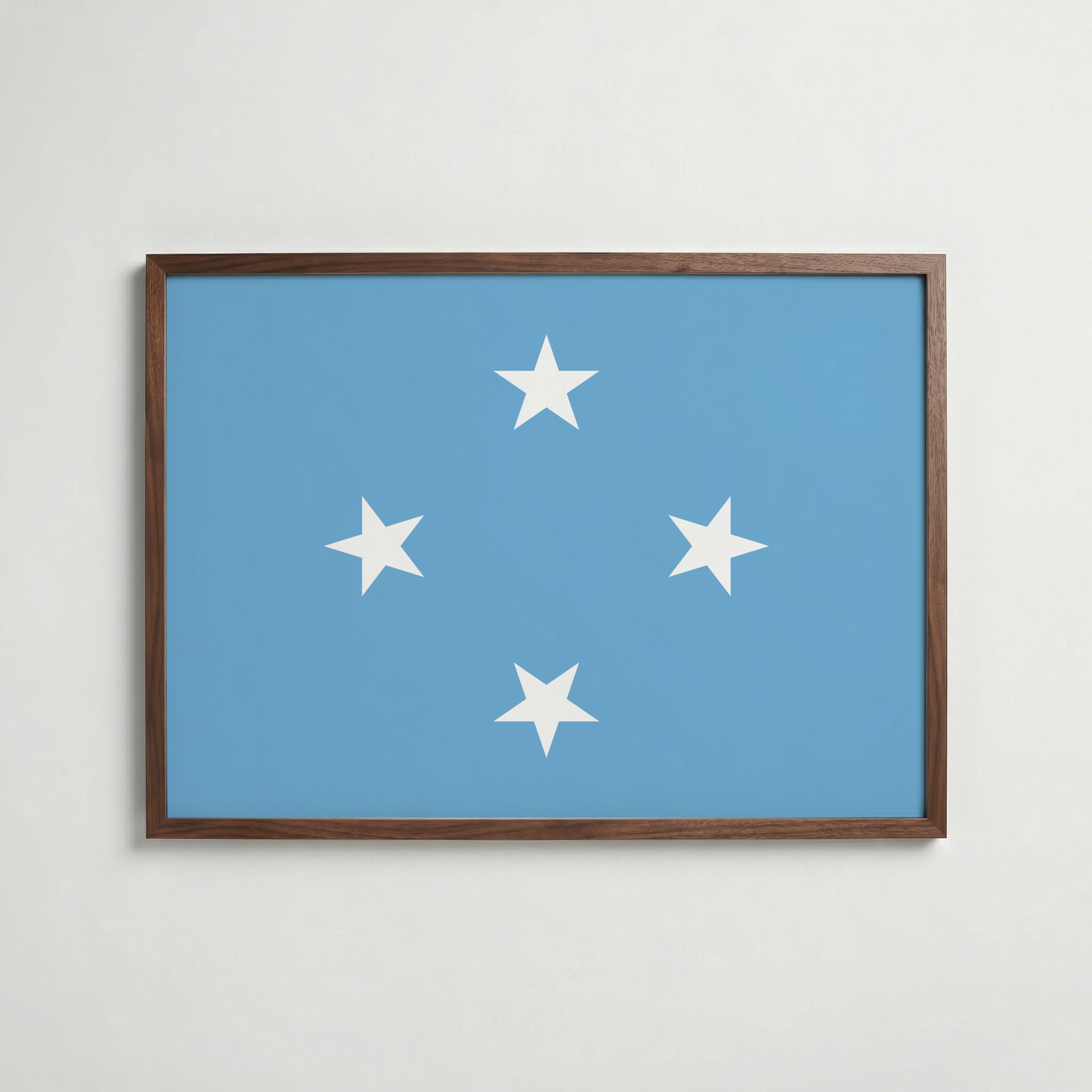 Micronesia National Flag Poster poster – väggdekoration för hemmet – köp hos Bozetto