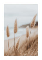 Coastal Nature Poster