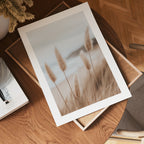 Coastal Nature Poster