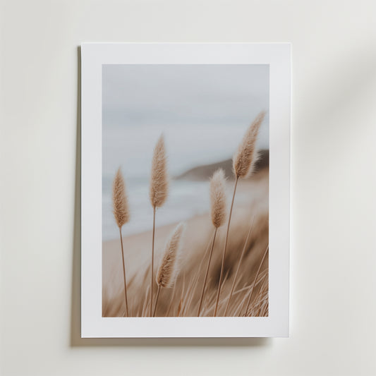 Coastal Nature Poster