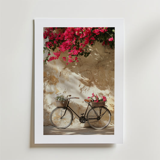 Bougainvillea Bicycle Poster
