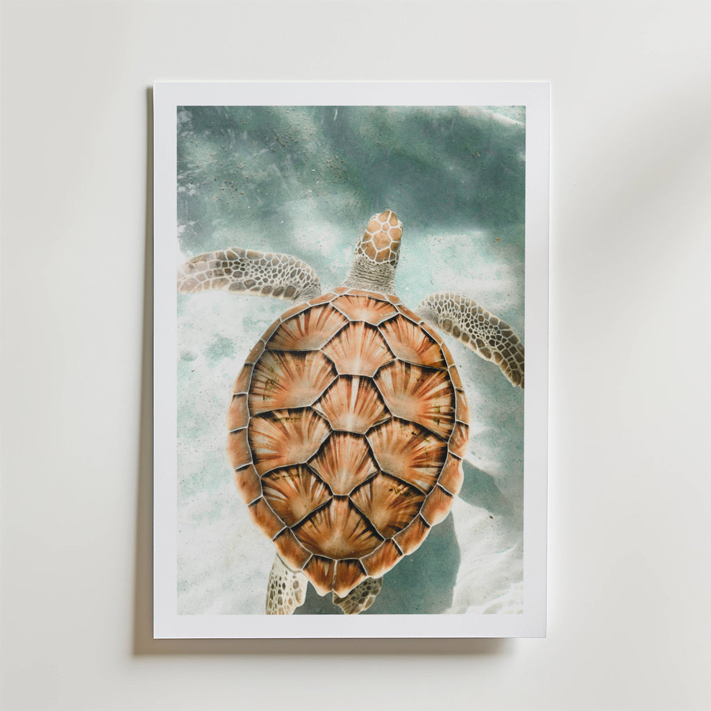 Ocean Turtle Escape Poster