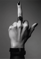 Middle Finger Poster