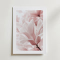 Bozetto Blush Rose Magnolia Flower Poster föreställer en mjukt rosa magnolia i blom med fina kronblad och en suddig bakgrund, tryckt på FSC-certifierat premiumpapper med lyxigt matt yta, mot en vit vägg.