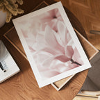 Blush Rose Magnolia Flower Poster