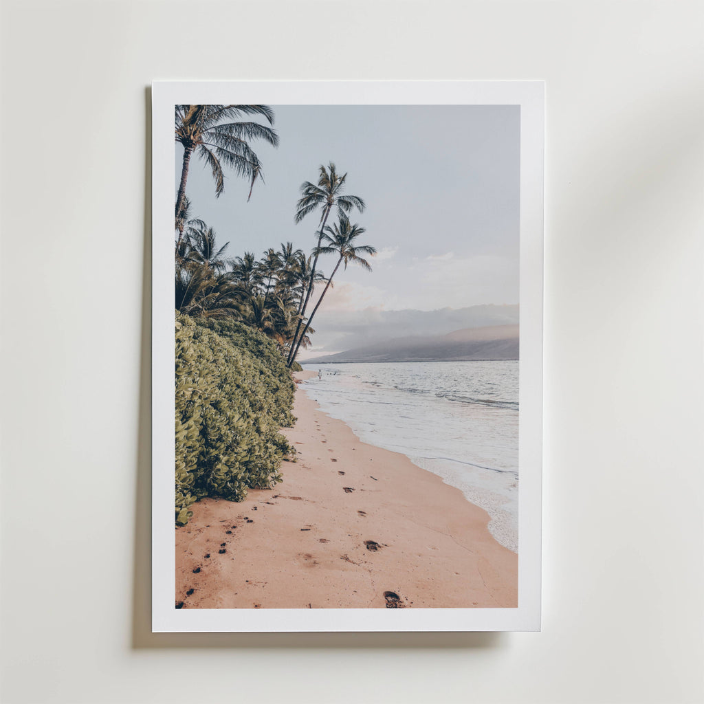 Coastal Palm Serenity Poster