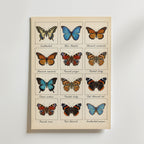 Butterfly Grid Poster – canvas utan passepartout