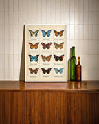 Butterfly Grid Poster – i rum 4