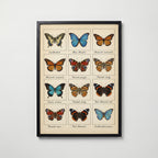 Butterfly Grid Poster – svart ram