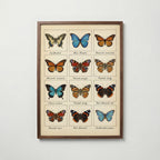 Butterfly Grid Poster – valnötsram