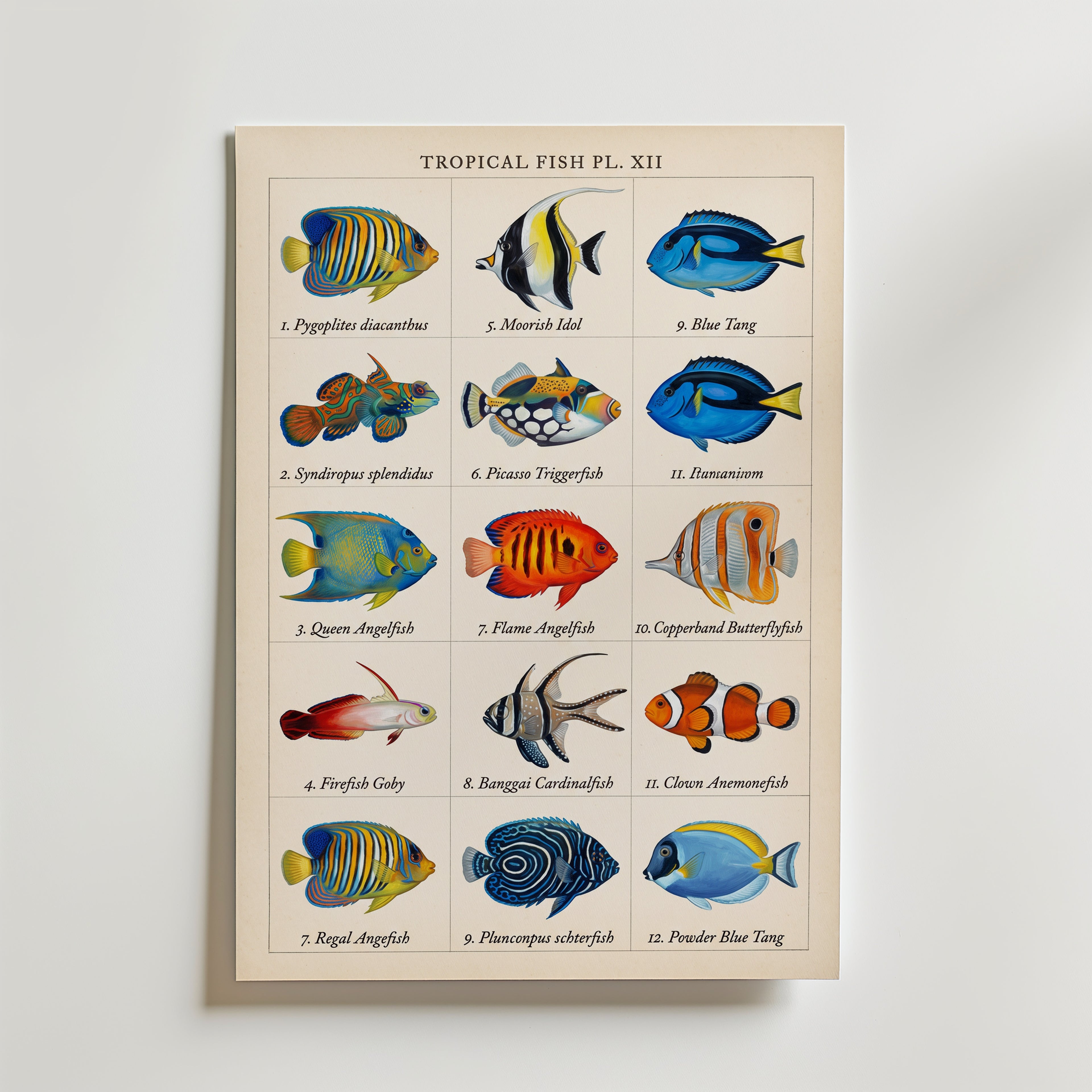 Tropical Fish Grid Poster – canvas utan passepartout