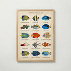 Tropical Fish Grid Poster – ekram