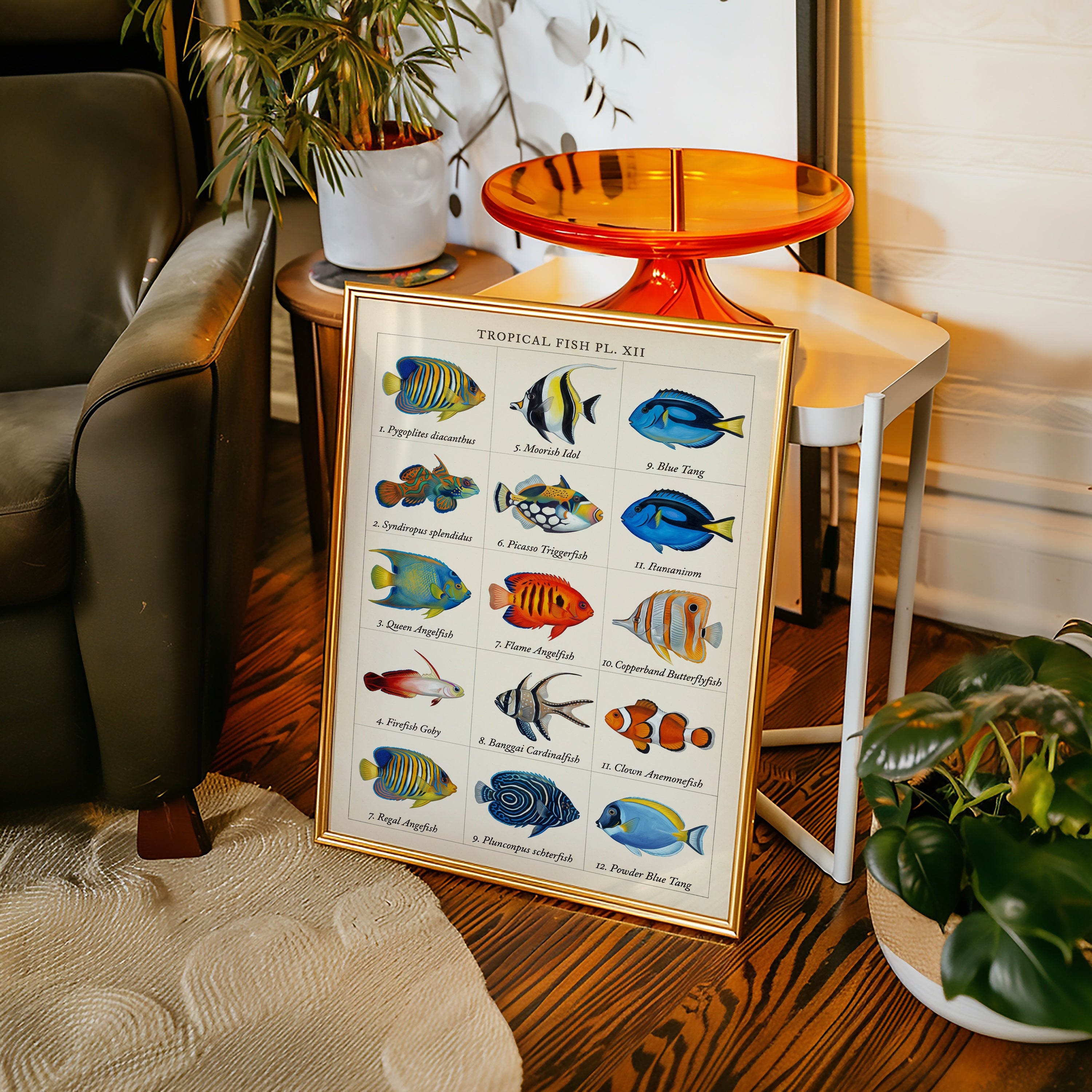 Tropical Fish Grid Poster – i rum 1