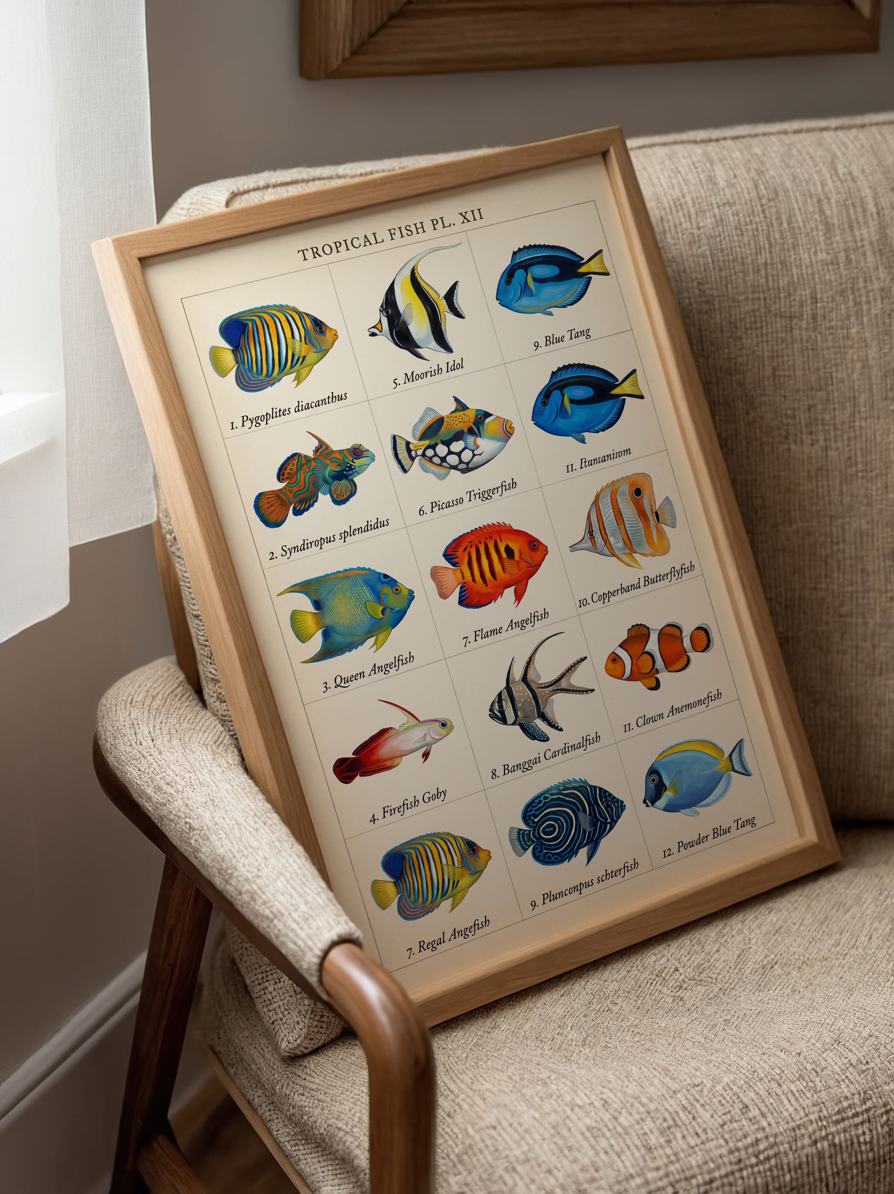Tropical Fish Grid Poster – i rum 3