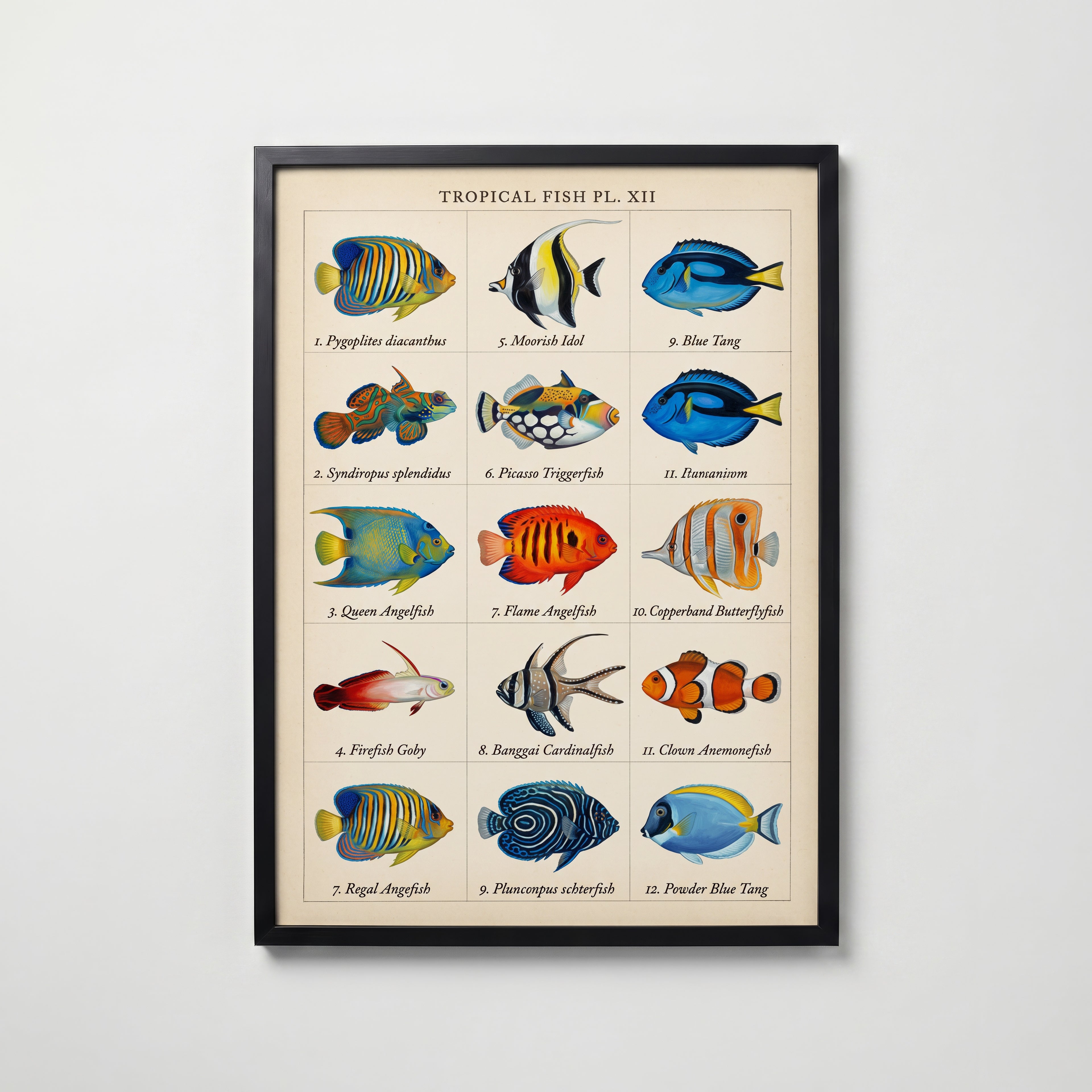 Tropical Fish Grid Poster – svart ram