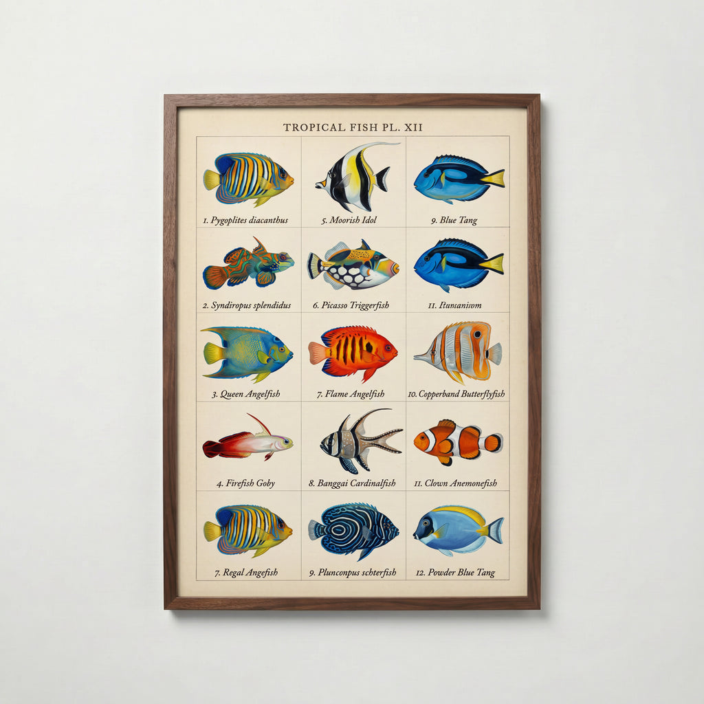 Tropical Fish Grid Poster – valnötsram
