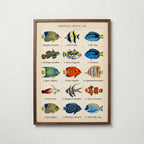 Tropical Fish Grid Poster – valnötsram