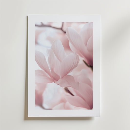 Blush Pink in Bloom Poster