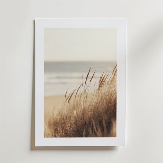 Dune Grass by the Sea Poster