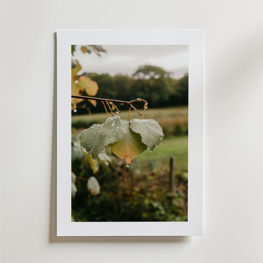 After the Rain Poster