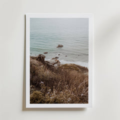 Wild Coastline Vista Poster