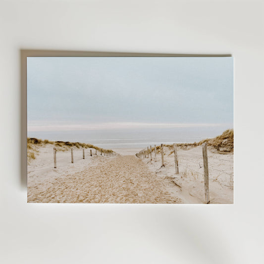 Soft Dune Pathway Poster