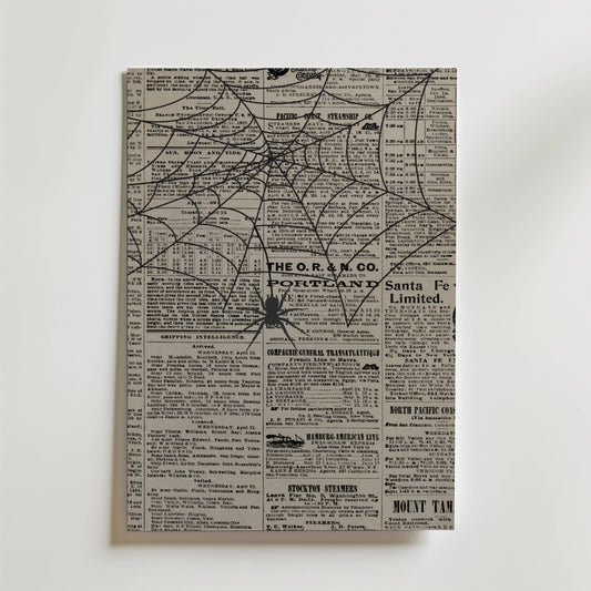 Web Of Stories Poster