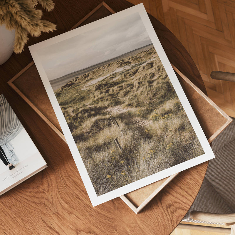 Coastal Dunes Path Poster