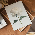 White peony Poster